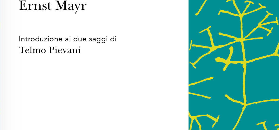 Evoluzione