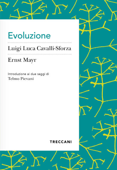 Evoluzione