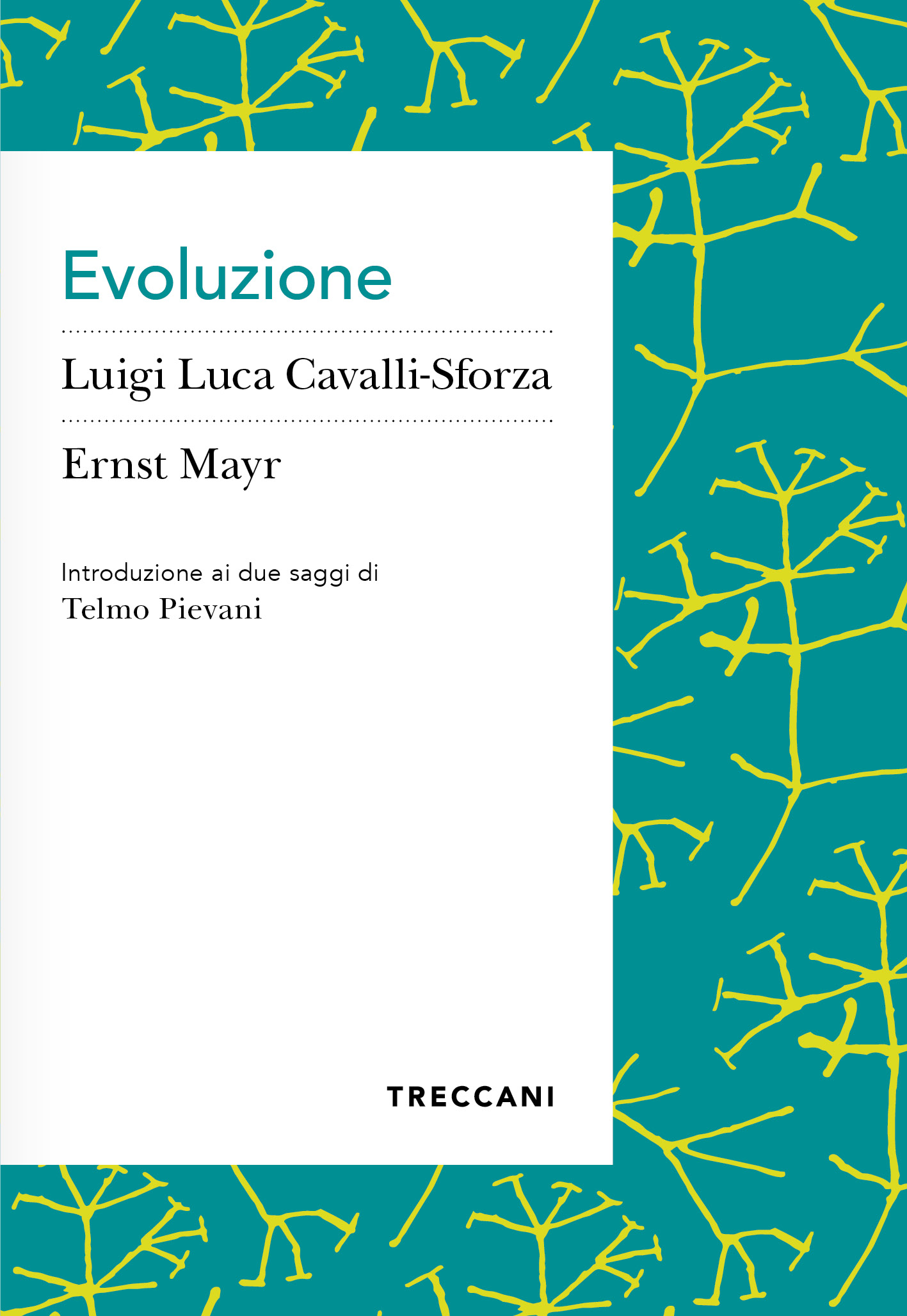Evoluzione
